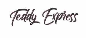 Teddy-Express Logo